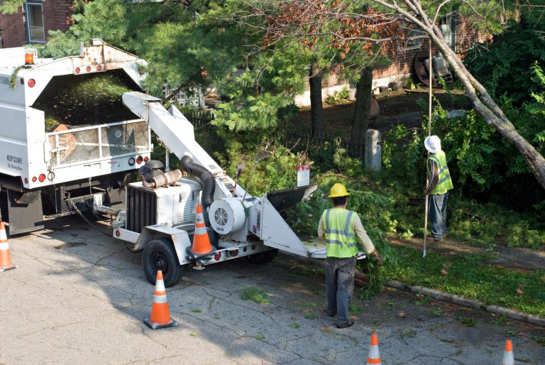 Suffolk County Emergency Tree Removal | Miguel's Tree Service
